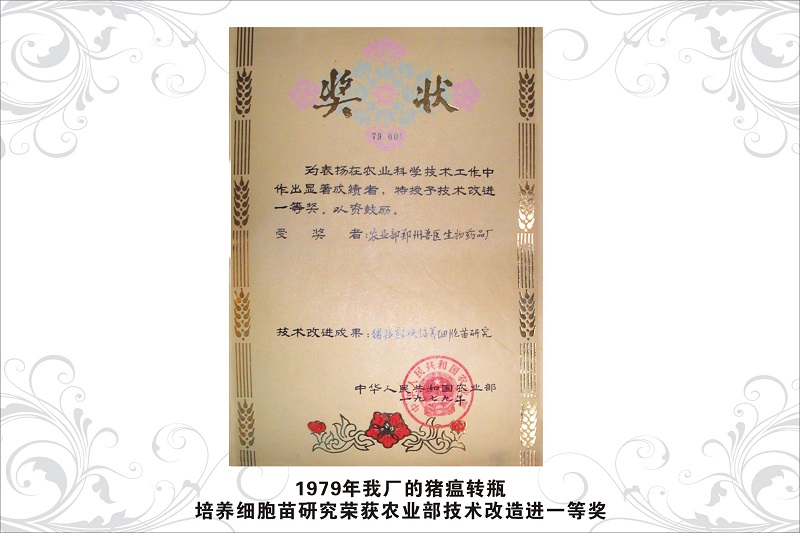 7农业部技术改进一等奖（1979年）.jpg
